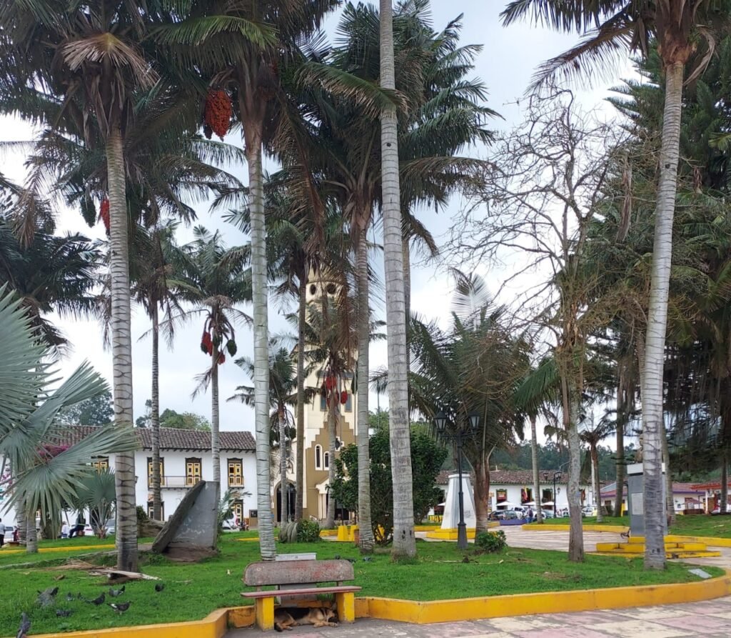 Place principale Salento, Colombie