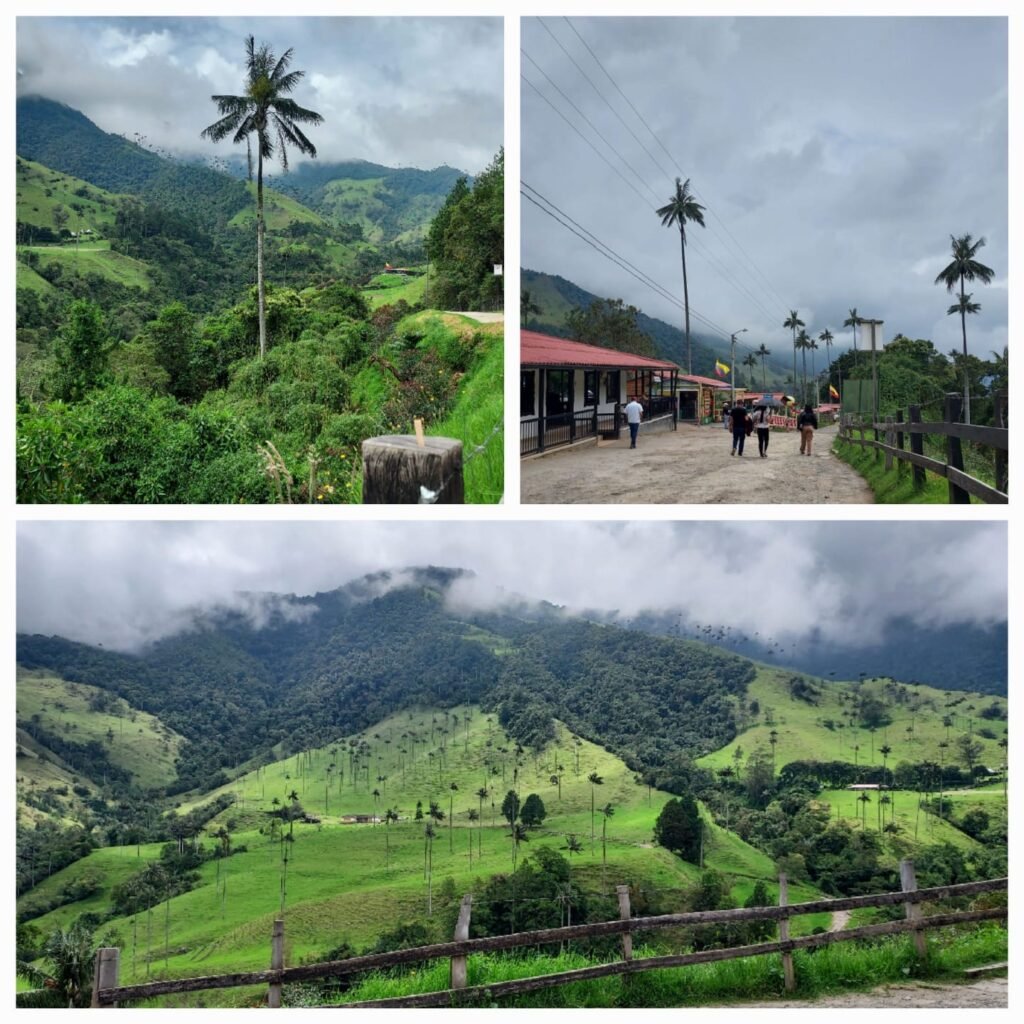 Vallée de Cocora, Colombie 