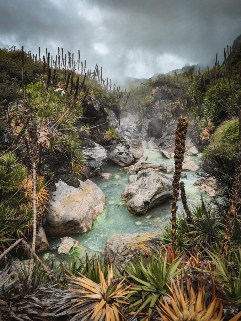 Paysage naturel andin près de Manizales en Colombie avec rivière et végétation
