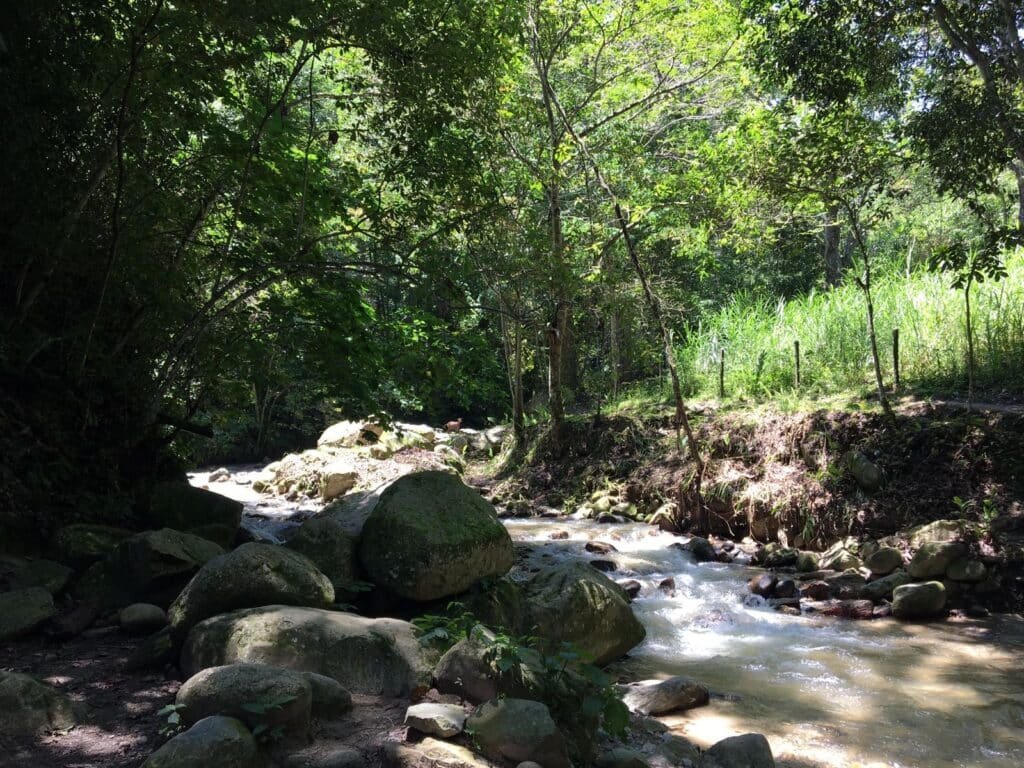 Rivière traversant une forêt près de Piedecuesta, cadre naturel et paisible aux portes de la ville