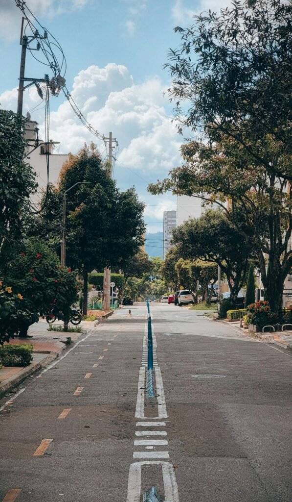 Rue arborée à Bucaramanga en Colombie, montrant le cadre de vie urbain et verdoyant