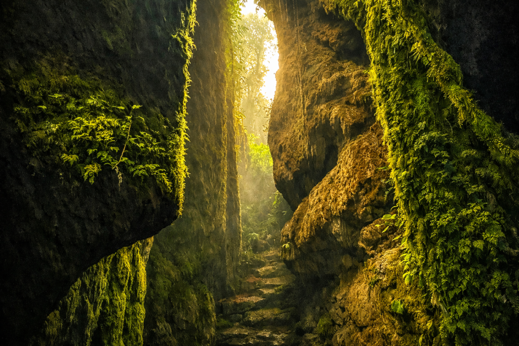 Illustration réaliste d’un canyon rocheux couvert de mousse aux Bosques de Pandora en Colombie, forêt de nuages à Santander