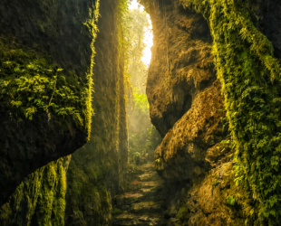 Illustration réaliste d’un canyon rocheux couvert de mousse aux Bosques de Pandora en Colombie, forêt de nuages à Santander