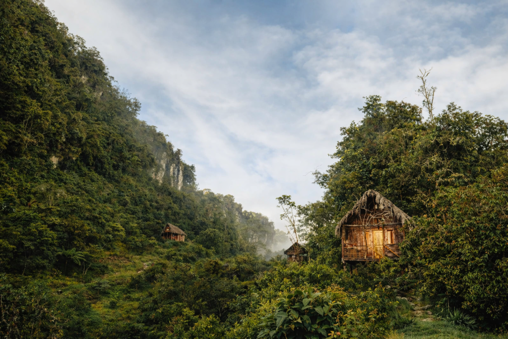 Illustration réaliste de cabanes en bois au cœur des Bosques de Pandora en Colombie, forêt de nuages et falaises karstiques à Santander