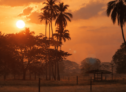 Monteria Colombie paysage tropical coucher de soleil palmiers