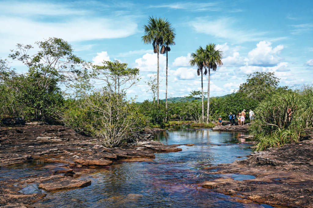 rivière dans les llanos près de villavicencio entourée de végétation tropicale et de paysages naturels en colombie