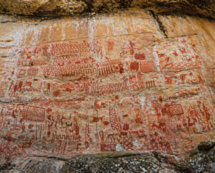 peintures rupestres de cerro azul dans la serrania de la lindosa près de san jose del guaviare en colombie