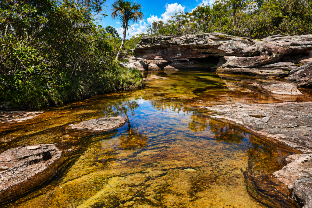 piscines naturelles dans la serrania de la lindosa avec eau claire et roches près de san jose del guaviare en colombie