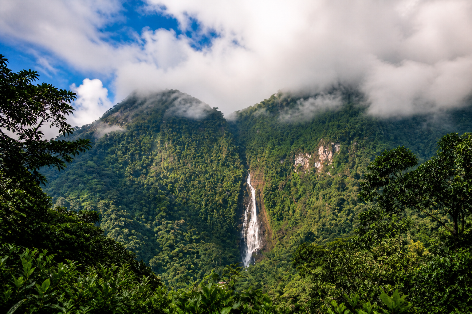 Ibagué Colombie : explorer le Cañón del Combeima et ses cascades
