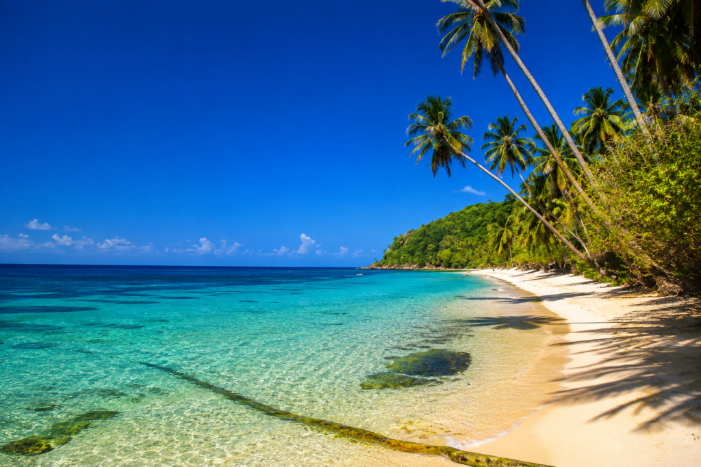 Playa Manzanillo avec sable blanc et eau turquoise à Providencia en Colombie