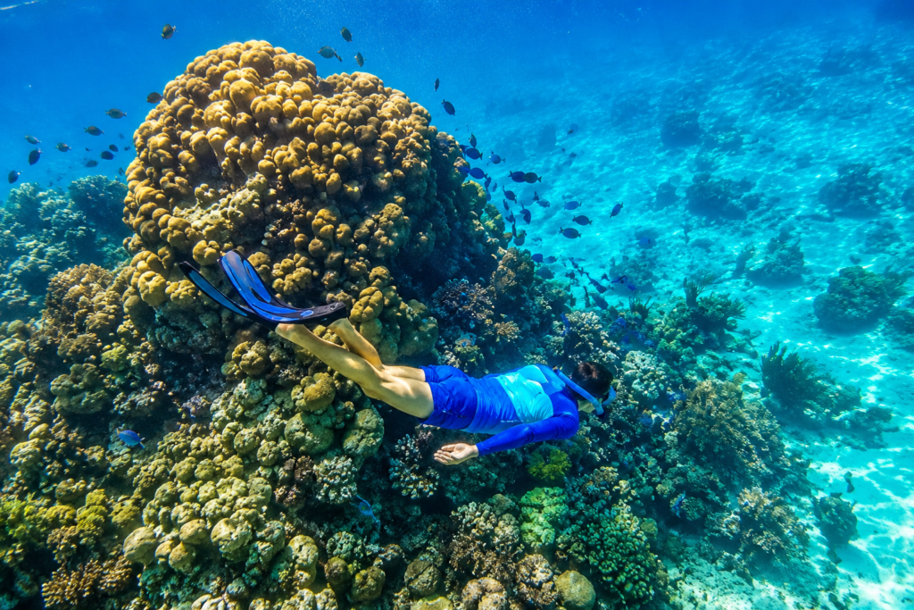 Personne faisant du snorkeling au milieu des coraux dans les eaux turquoise de Providencia en Colombie