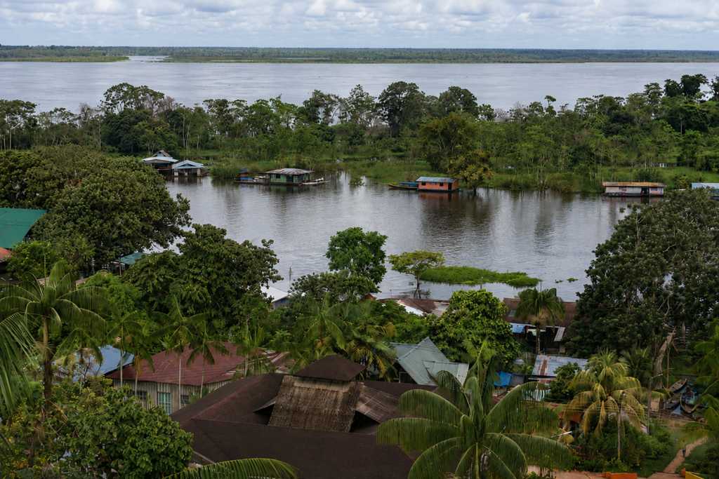 vue sur le fleuve amazone et la jungle autour de Leticia en Colombie